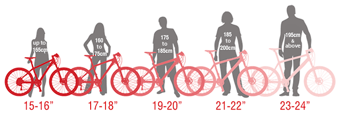 bike frame sizes in cm