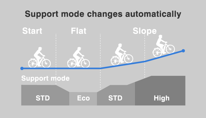 PW-ST - Automatic Support Mode