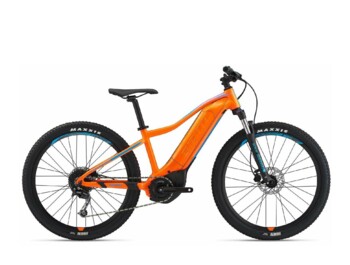 junior electric bike