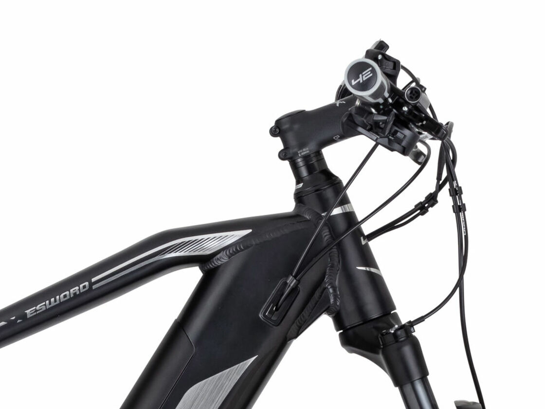 4EVER ESWORD TEAM e-bike - frame, battery