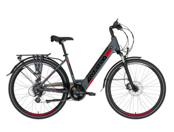 Trekking / city e-bike with a very popular and comfortable low start, top equipment and integrated battery, which does not disturb the appearance of the e-bike and at the same time ensures an ideal weight distribution.