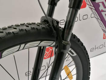 CRUSSIS e-Guera 9.7-S - fork